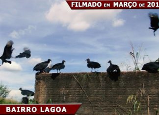 Porto Velho: Prefeitura Abandona Ruas e Bairros da Capital de Rondônia.