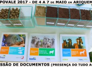 Vídeo 06: EXPOVALE 2017 em ARIQUEMES