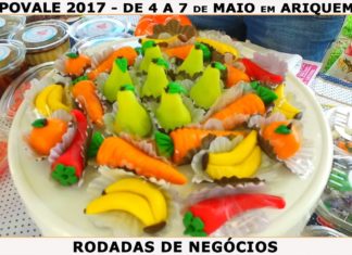 Vídeo 07: EXPOVALE 2017 em ARIQUEMES