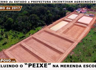 SOMOS O MAIOR PRODUTOR DE PEIXE DE ÁGUA DOCE DO BRASIL.