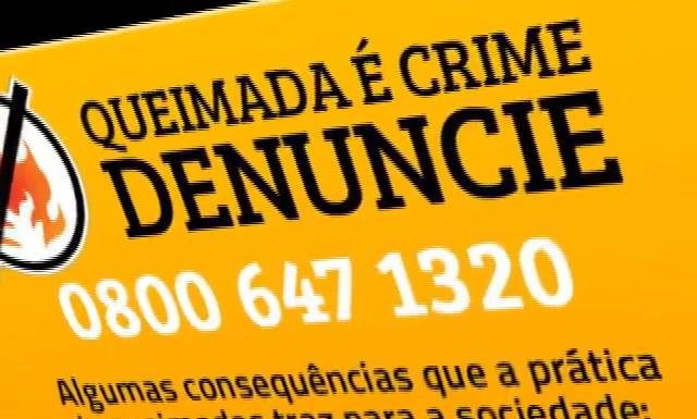 QUEIMADA É CRIME
