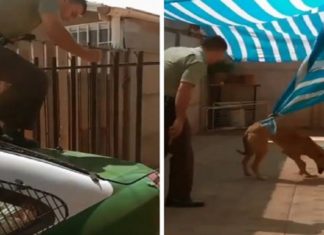 Policial ganha “abraço” de cachorro após resgatá-lo e vídeo chama atenção