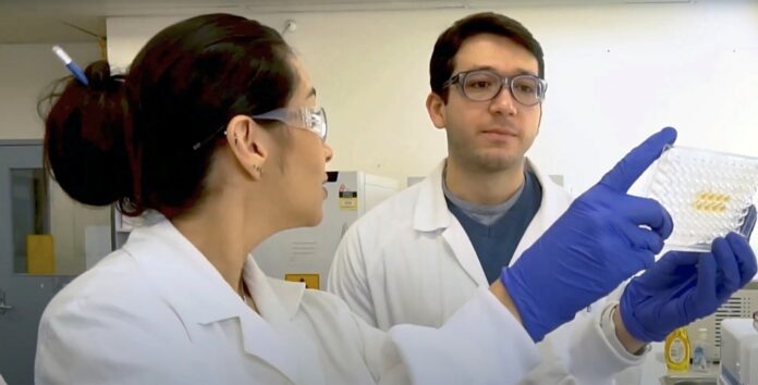 2020-07-17t105439z-812515488-rc2yuh98bk7w-rtrmadp-3-health-coronavirus-research