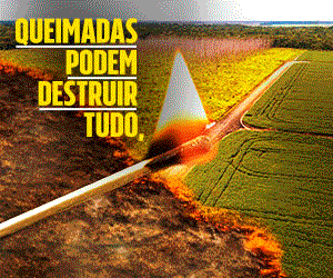 Queimadas - Governo de Rondônia