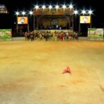 Quadrilha Mirim Nova Junina 2024- (2)