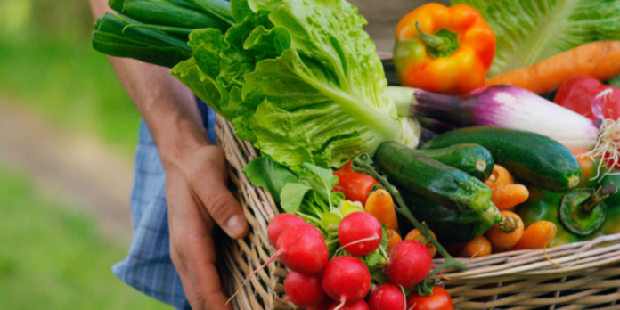 mais alimentos O programa Mais Alimentos cresce 46% em operações de crédito e destina R$ 11,3 bilhões para a agricultura familiar em 2024. Saiba como o programa está modernizando o campo e impulsionando o desenvolvimento sustentável.