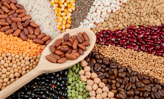 Renovação-do-PACIC-e-exportações-brasileiras-para-o-México Governo brasileiro comemora renovação do PACIC pelo México, fortalecendo exportações agropecuárias e garantindo segurança alimentar.