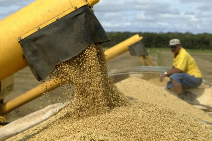 agro-trandings-soja-17Fev23-PauloWhitaker-768x512 Colheita de soja 2024/25 em MT é a mais lenta em 7 anos, com chuvas afetando produção e janela do milho.