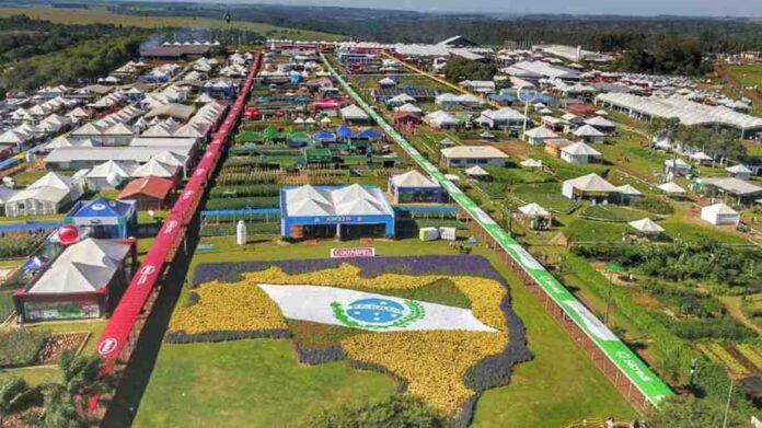Cooperativa do Paraná aposta em diversificação e expansão para crescer em 2025.