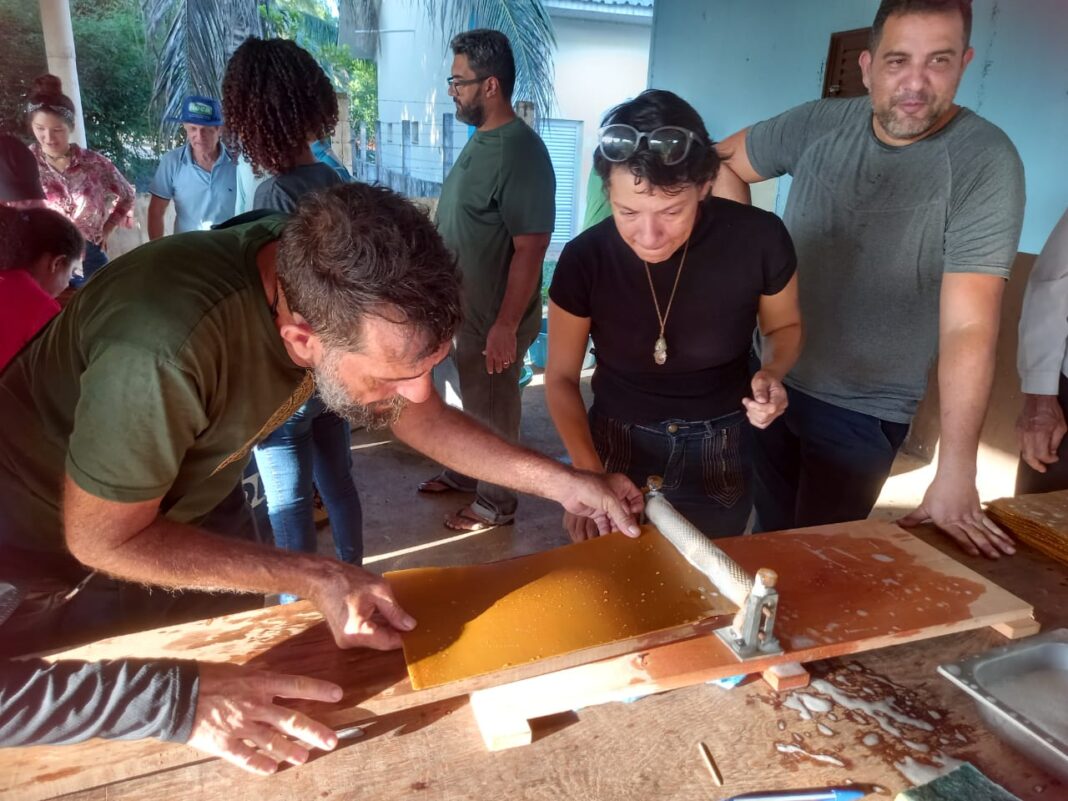 Reduza perdas e custos no beneficiamento da cera apícola. Inscreva-se na oficina promovida pela Semagric em Porto Velho.