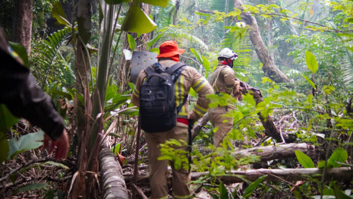 Mudanças climáticas exigem medidas preventivas em Rondônia contra a estiagem