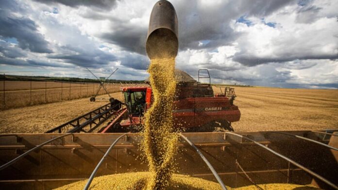 PIB do Brasil cresce 1,4% no 1º trimestre com força do agronegócio