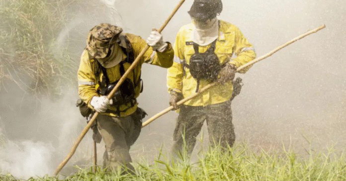 Governo antecipa ações de combate aos incêndios florestais em 2025