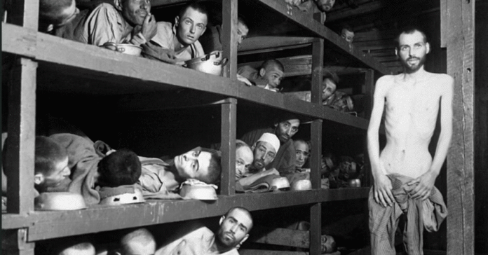 Como os horrores do Holocausto foram revelados ao mundo