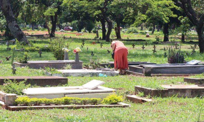 Estados com maior taxa de homicídio no Brasil em 2023