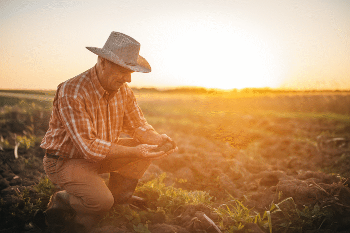 Agricultor analisa solo seco durante o pôr do sol em lavoura de Rondônia