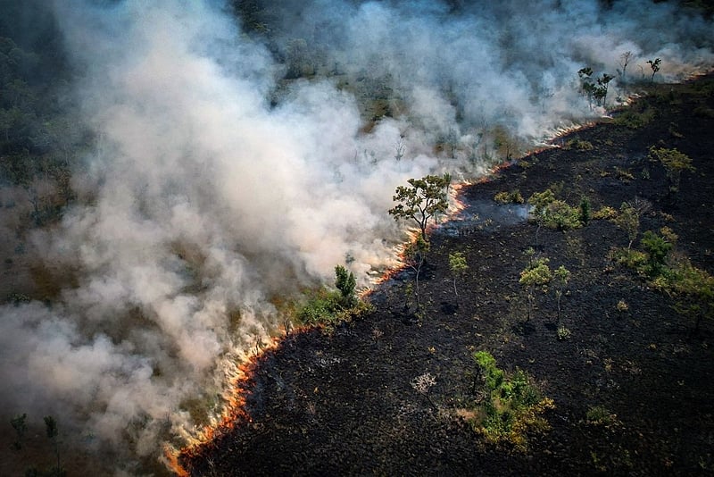 Fumaça avança sobre a floresta após linha de fogo atingir área extensa em Rondônia