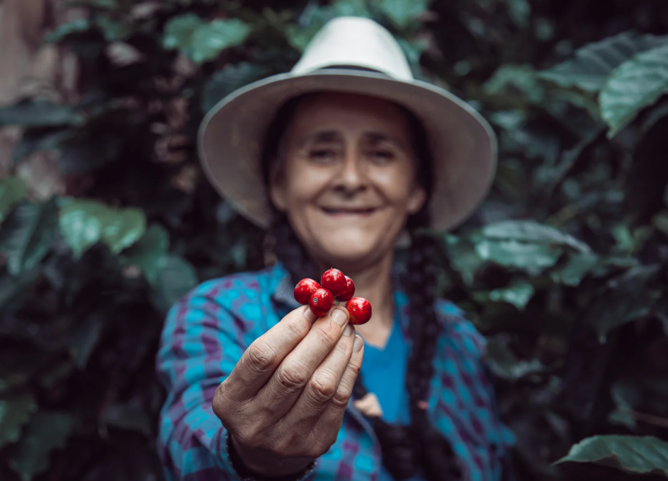 Produtora rural segurando grãos maduros de café, com sorriso e plantação ao fundo