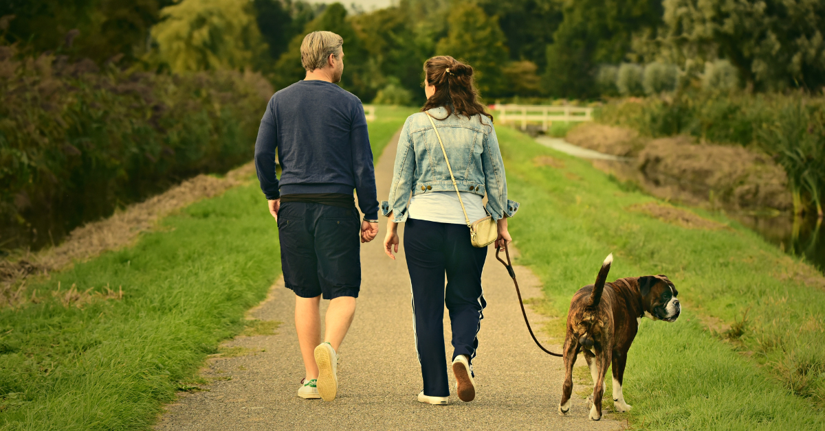 Casal caminhando ao ar livre com cachorro em trilha arborizada