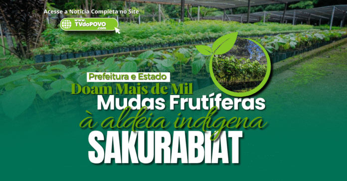 Banner com muda de planta e viveiro, destacando doação de mudas frutíferas à aldeia indígena Sakurabiat em Porto Velho.