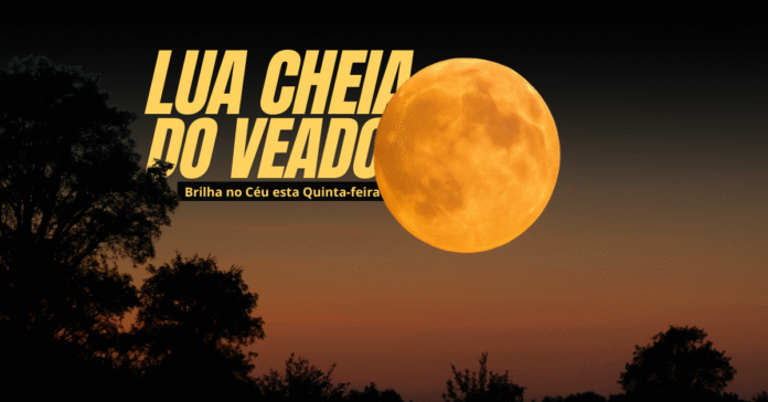 Lua cheia alaranjada do mês de julho surge no céu do Brasil ao entardecer, com silhuetas de árvores na paisagem.