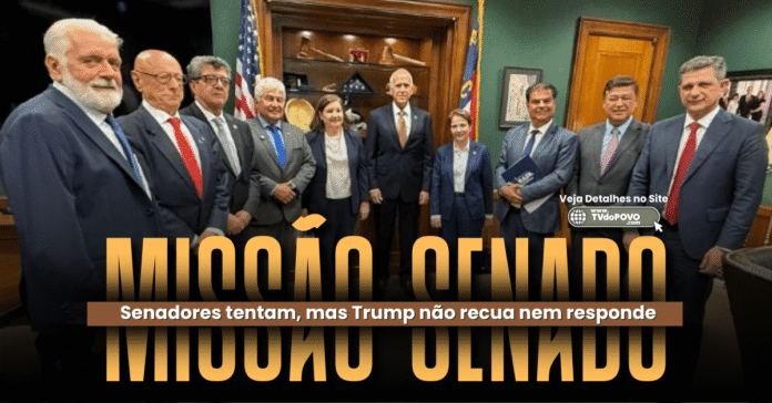 Missão do Senado em Washington tenta acordo sobre tarifa entre Brasil e EUA