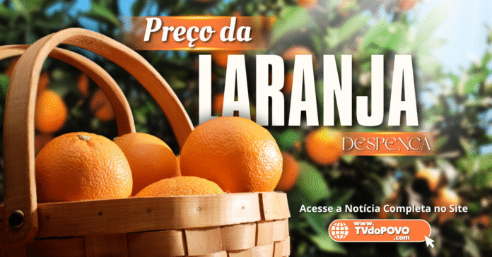 Cesta com laranjas e frase “Preço da laranja despenca” sobre fundo de pomar.