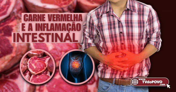 Homem com dor abdominal em destaque, carne vermelha e ilustração de intestino inflamado representam os riscos do consumo excessivo.
