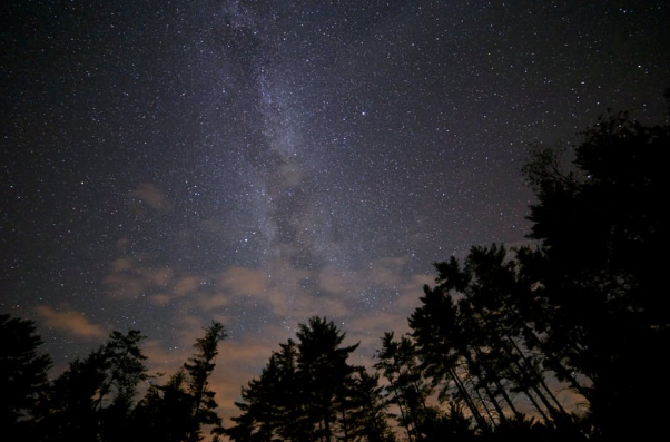 Céu noturno estrelado com silhueta de árvores e faixa da Via Láctea ao fundo