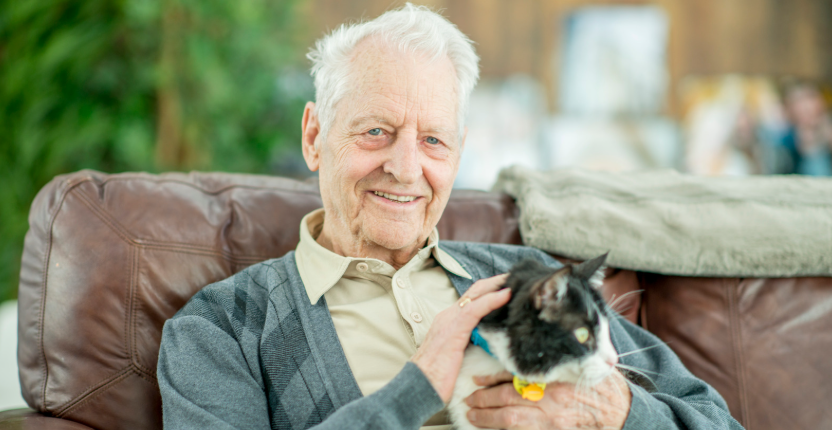 Idoso sorridente sentado em sofá acariciando um gato preto e branco.