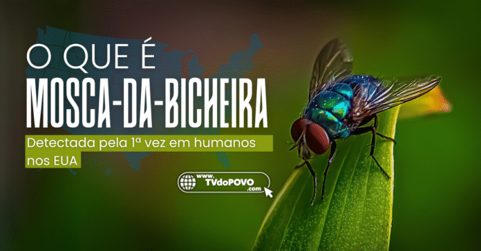 Mosca-da-bicheira detectada pela primeira vez em humanos nos EUA