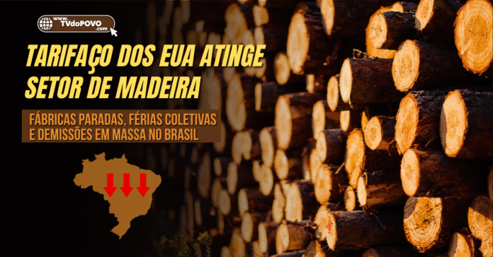 Tarifaço dos EUA atinge setor de madeira com impacto em empregos no Brasil