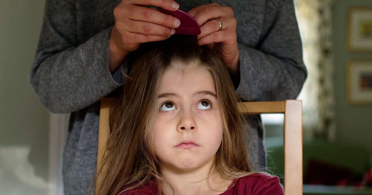 Criança sentada enquanto um adulto usa pente fino para examinar o couro cabeludo, prevenção e tratamento contra piolhos.