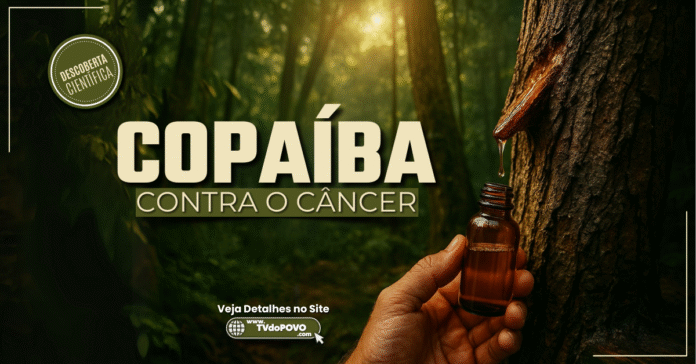 Frasco coleta óleo de copaíba que escorre de árvore amazônica com floresta ao fundo e luz natural intensa.