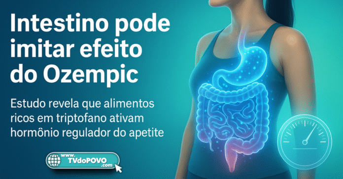 Ilustração científica mostra intestino humano em destaque com efeito luminoso, simbolizando o impacto do triptofano ao imitar ação do Ozempic.