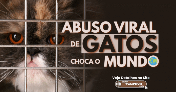 Filhote de gato atrás das grades com expressão triste e texto “Abuso viral de gatos choca o mundo”