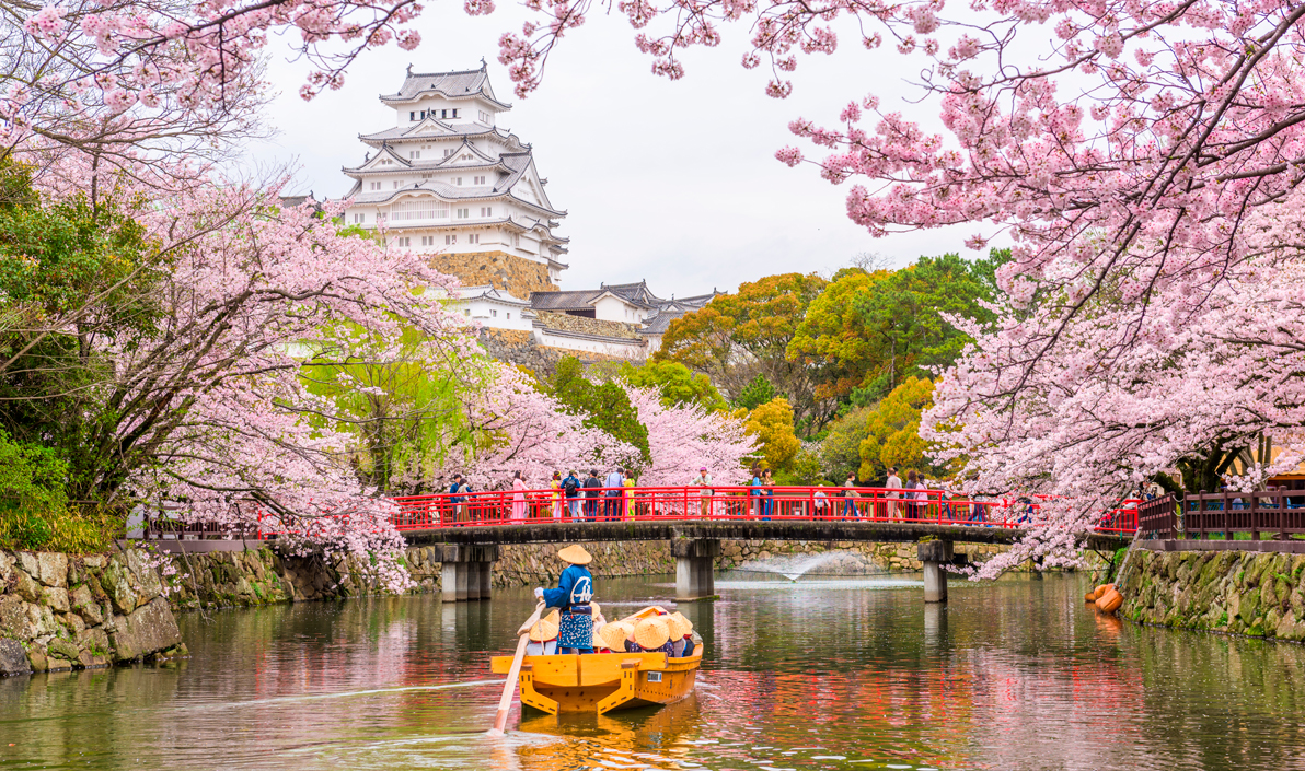 Florada de cerejeiras no Japão com castelo ao fundo, barco tradicional no rio e pessoas na ponte vermelha.