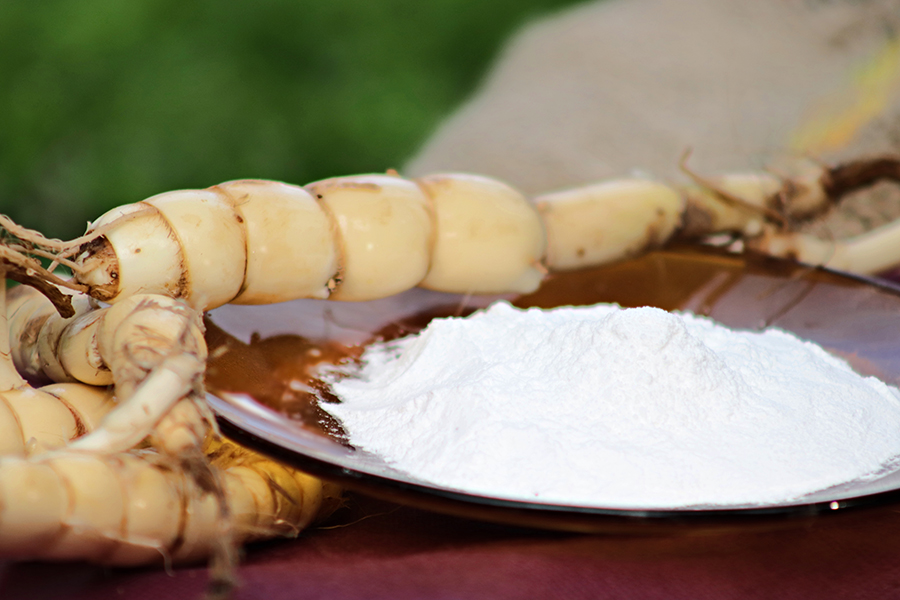 Raízes frescas de araruta dispostas ao lado de um prato com farinha branca, sobre fundo desfocado verde e tecido artesanal.
