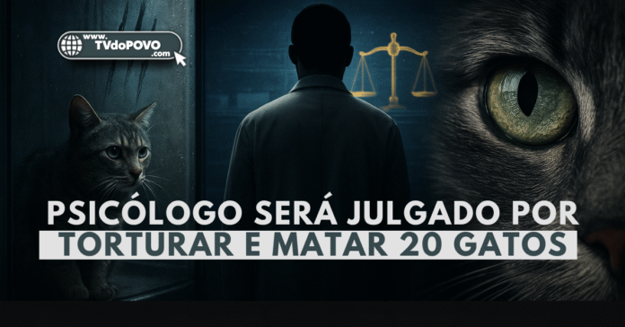 psicólogo será julgado por torturar e matar 20 gatos no DF