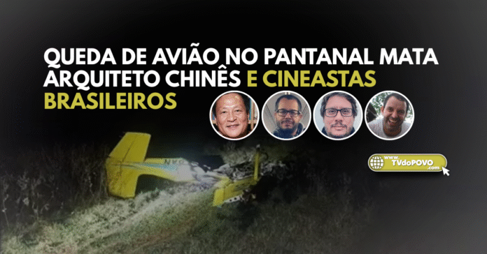 Arte mostra queda de avião no Pantanal que matou arquiteto chinês e cineastas brasileiros