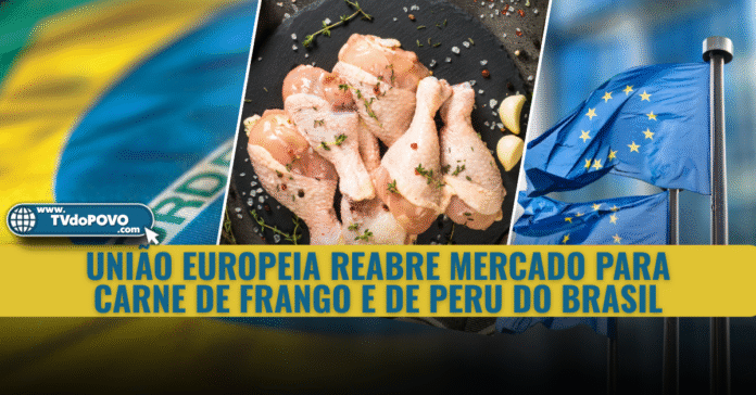 União Europeia reabre mercado para carne de frango e de peru do Brasil