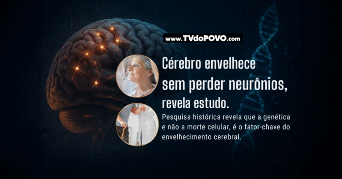 Cérebro humano com sinapses acesas, DNA ao fundo e rostos de idosos