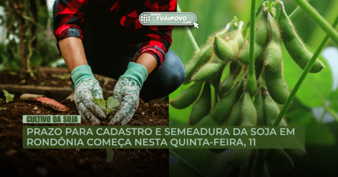 Produtor planta muda em solo preparado ao lado de vagens de soja, destacando início do prazo de cadastro em Rondônia