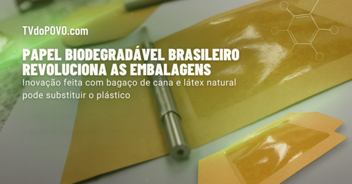 Papel biodegradável desenvolvido no Brasil a partir de bagaço de cana e látex natural, apresentado como alternativa sustentável ao plástico.