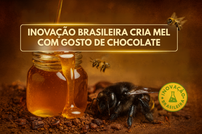 Frasco de mel dourado sobre cascas de cacau com abelhas nativas sem ferrão, representando inovação científica brasileira