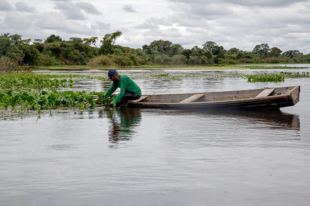 Pescador em barco de madeira realiza atividade no rio durante o dia em Rondônia