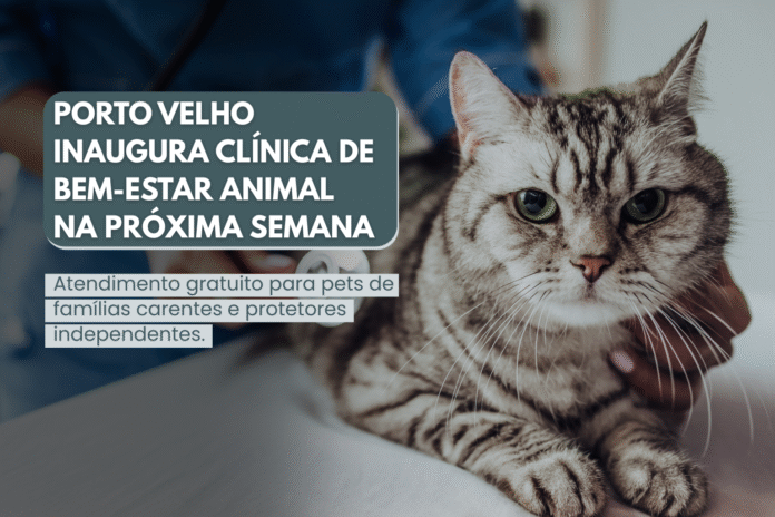 Veterinária atende um gato em mesa clínica, simbolizando a inauguração da nova clínica de bem-estar animal em Porto Velho.