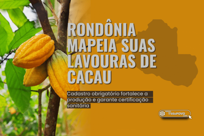 Mapa de Rondônia e frutos de cacau em destaque representam o cadastro obrigatório das lavouras no estado