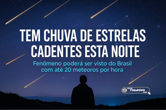 Pessoa observa o céu estrelado durante a chuva de meteoros Oriônidas visível do Brasil
