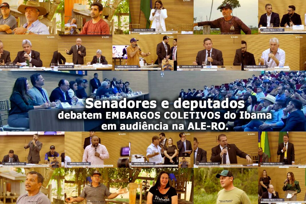 Audiência pública na Assembleia Legislativa de Rondônia debate embargos coletivos do Ibama com senadores e deputados.